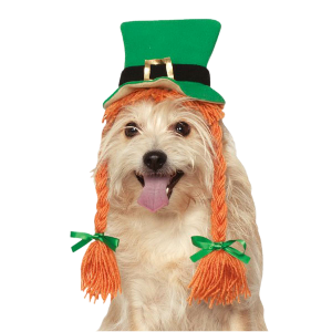 a doggy in a st patricks hat and ginger braids